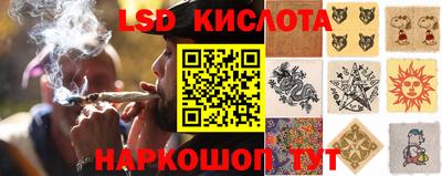 ПСИЛОЦИБИНОВЫЕ ГРИБЫ Донской